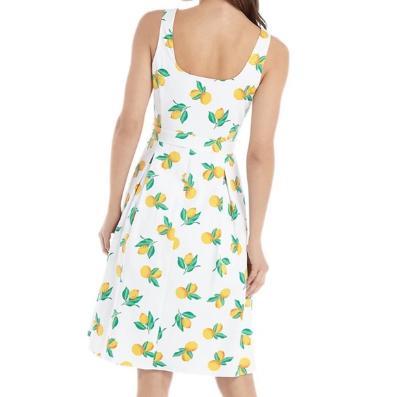 The Limited Lemon Grove Sleeveless Tie Waist Dress - Picture 5 of 6